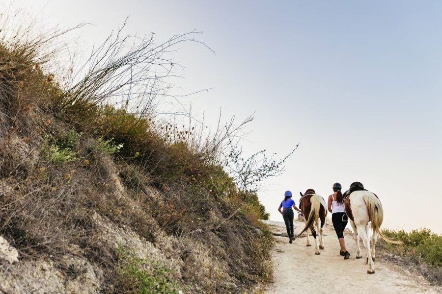 Heraklion: Finikia Horse Riding Tour with Lunch or Dinner - What the 4.5-hour schedule means for your day
