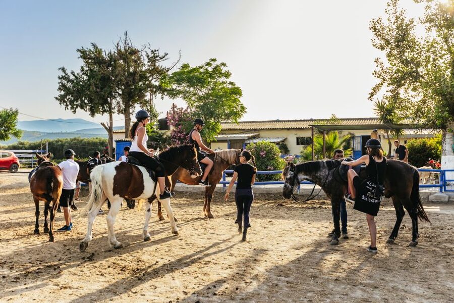 Heraklion: Finikia Horse Riding Tour with Lunch or Dinner - Who should book this horse ride