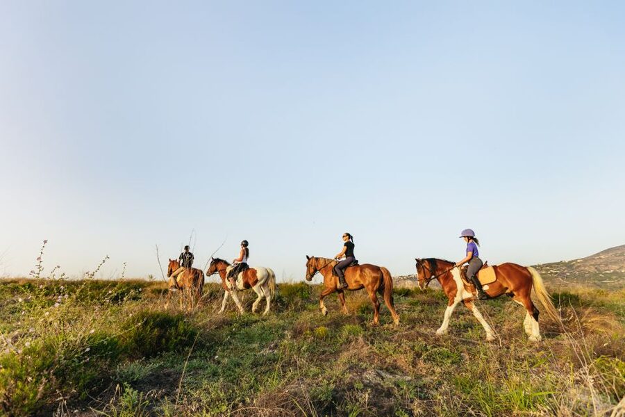 Heraklion: Finikia Horse Riding Tour with Lunch or Dinner - A few practical ways to enjoy it more