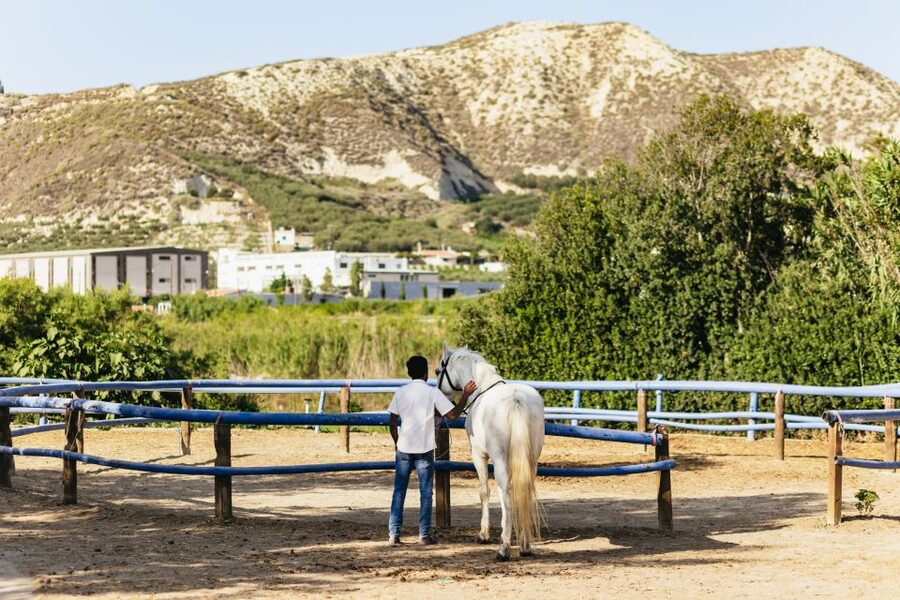Heraklion: Finikia Horse Riding Tour with Lunch or Dinner - Riding through olive trees and up Finikia Mountain