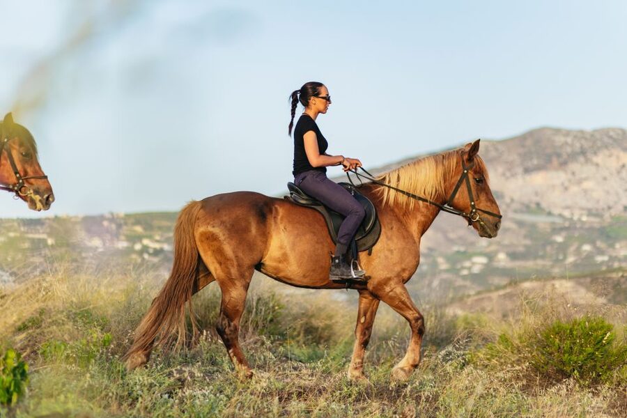 Heraklion: Horse Ride in the Cretan Mountains - Practical tips for a smoother ride