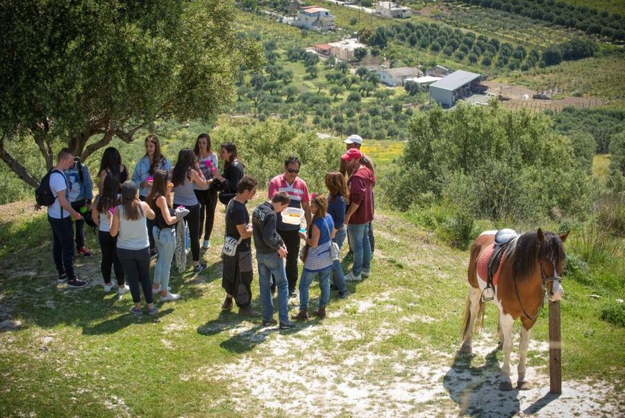 Heraklion: Horseriding Day Tour with Lunch and Transfer - Key points to know before you book