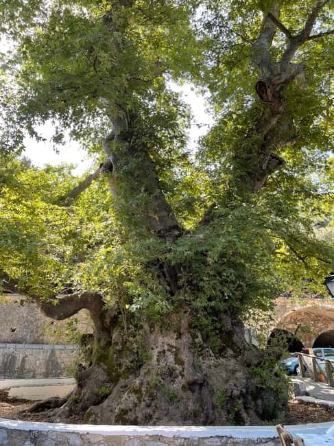 Heraklion: Knossos, Zeus, Villages & Olive Oil Factory Tour - Lasithi Plateau and the old windmills