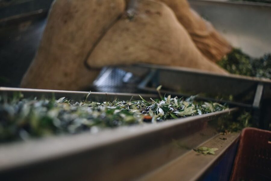 Heraklion: Olive Farm Tour with Tasting of Local Delicacies - Inside the olive mill