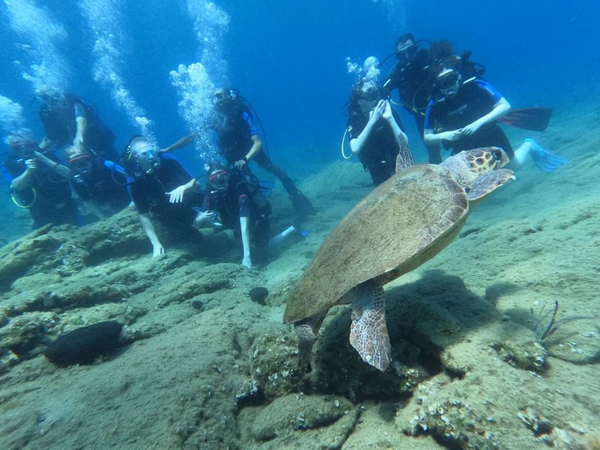 Heraklion: Scuba Diving Experience for Beginners _Beach - Should you book this Agia Pelagia experience?