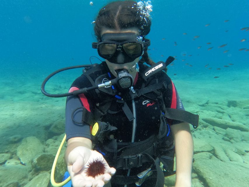 Heraklion: Scuba Diving Experience for Beginners _Beach - What the $81 price includes, and what it does not