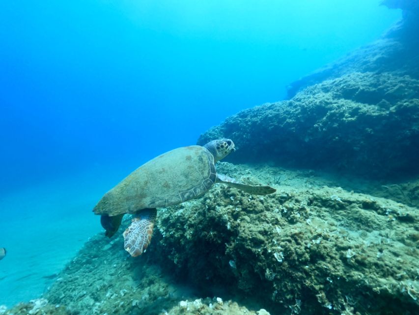 Heraklion: Scuba Diving Experience for First-Timers - Key points to know before booking