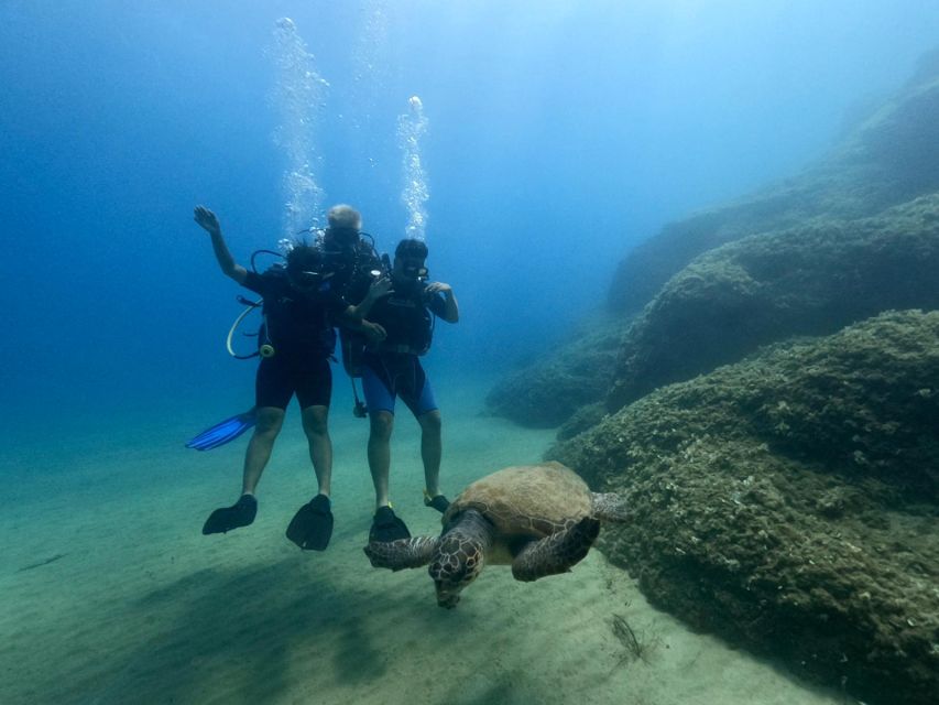 Heraklion: Scuba Diving Experience for First-Timers - My practical verdict for Heraklion visitors