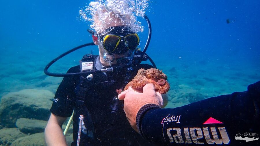 Heraklion: Scuba Diving Experience for First-Timers - The best part: calm instruction for nervous beginners