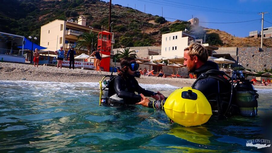 Heraklion: Scuba Diving Experience for First-Timers - Marine life, photographs, and realistic expectations