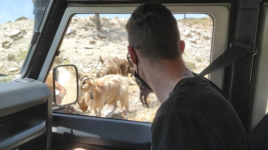 Heraklion: Self-Driving 4X4 Jeep Off-Road Tour with Lunch - Potamies and the first taste of rural Crete