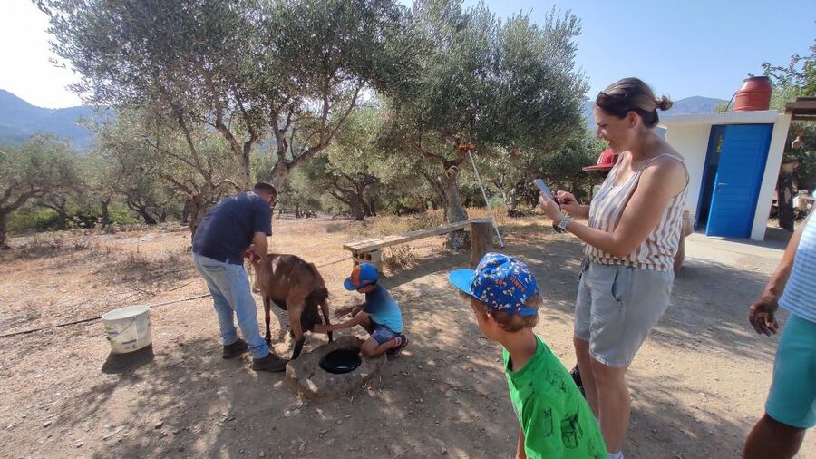 Heraklion: Self-Driving 4X4 Jeep Off-Road Tour with Lunch - Lunch in Malia after a dusty morning