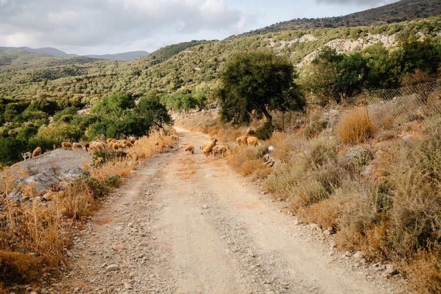 Heraklion: Self-Driving 4X4 Jeep Off-Road Tour with Lunch - What the $248 price really gives you