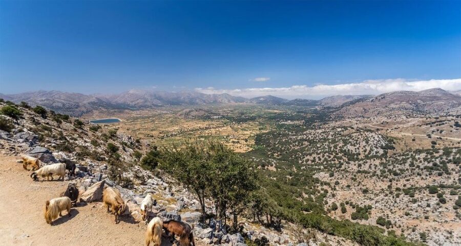Heraklion: Sunset Safari with Dinner & Prosecco - Kastamonitsa and the taste of raki