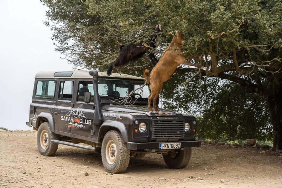 Heraklion: Sunset Safari with Dinner & Prosecco - The Lassithi Plateau sunset stop
