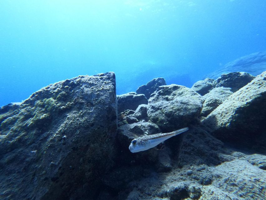 Heraklion: Try Scuba Diving For Beginners (1 dive) - Should you book this beginner session?