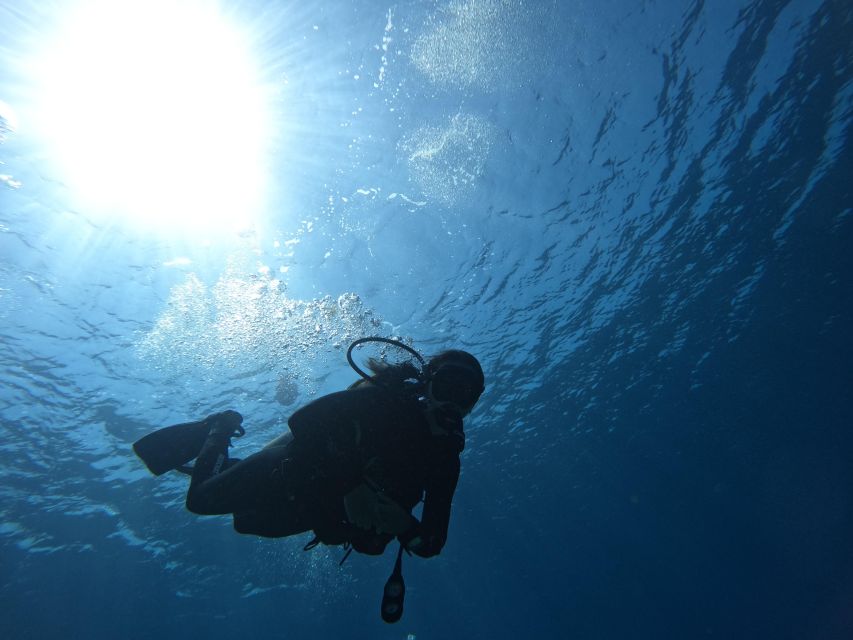 Heraklion: Try Scuba Diving For Beginners (1 dive) - A calm first step into the Cretan sea