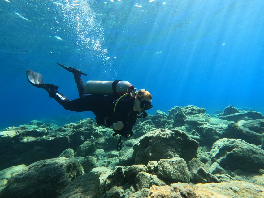 Heraklion: Try Scuba Diving For Beginners (1 dive) - Learning the basics before going underwater