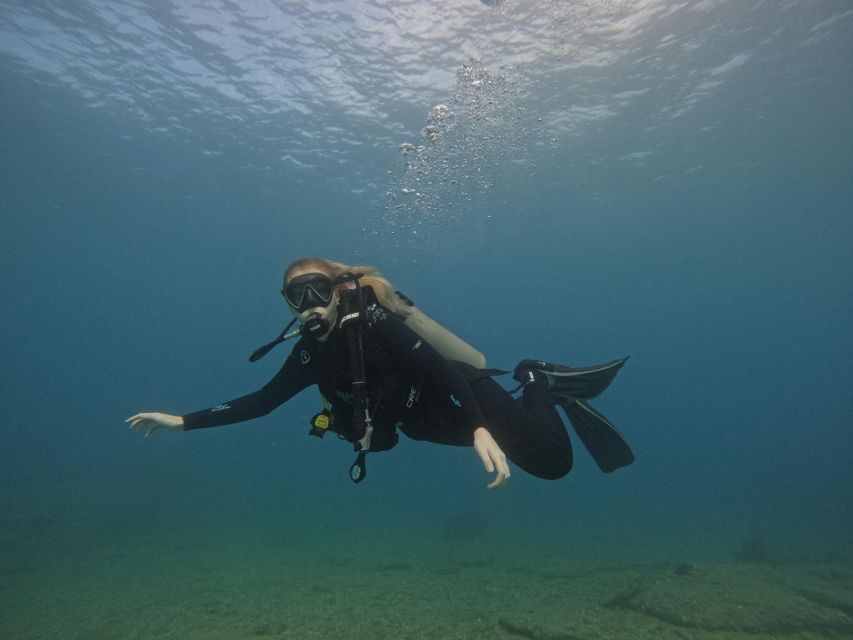 Heraklion: Try Scuba Diving For Beginners (1 dive) - The underwater session and sea life