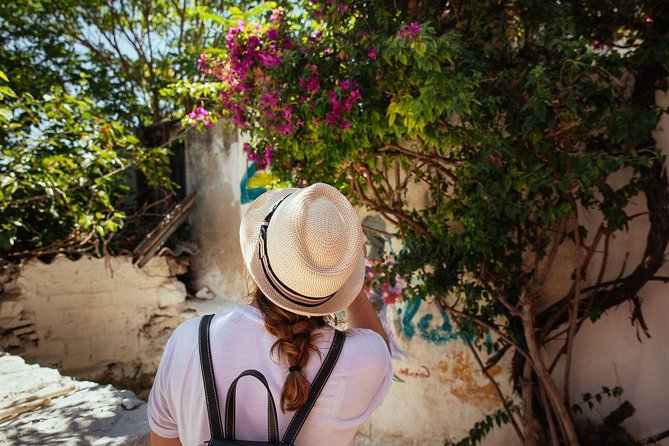 Highlights & Hidden Gems With Locals: Best of Athens Private Tour - A smart first walk through central Athens
