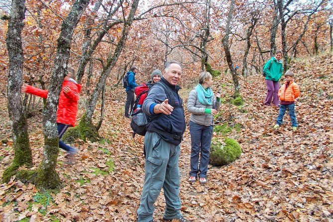 Hiking Tour to Meteora from Kalambaka - Local Agency - How flexible are the guides?