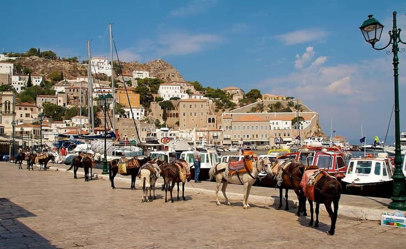 Hydra Island Trip from Athens with Ferry Tickets Included - Swimming and snorkeling on your own schedule