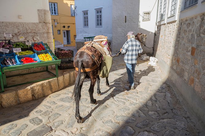 Hydra, Poros and Egina Day Cruise from Athens with Optional VIP Upgrade - Standard cruise or VIP upgrade?