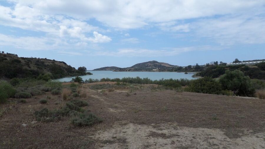 Ierapetra: Quad ATV 4x4 Exceptional Day in South Crete 2025 - Forest tracks, a village, and the Libyan Sea