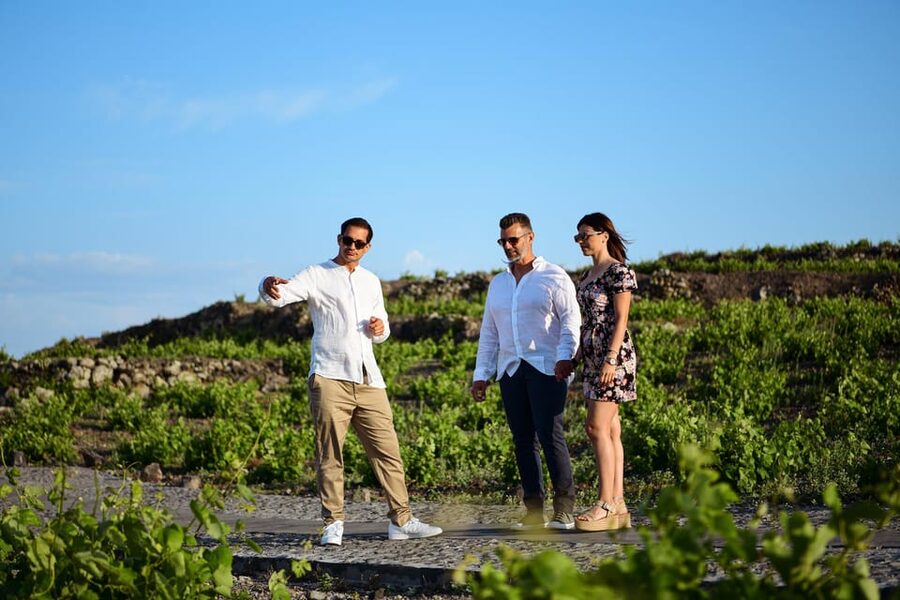 Imerovigli: Premium Wine Tasting with Caldera and Sea Views - A two-hour pace that leaves room for the evening