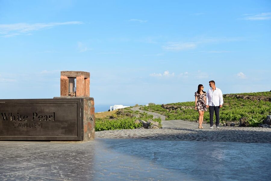 Imerovigli: Premium Wine Tasting with Caldera and Sea Views - Who will enjoy this experience most?