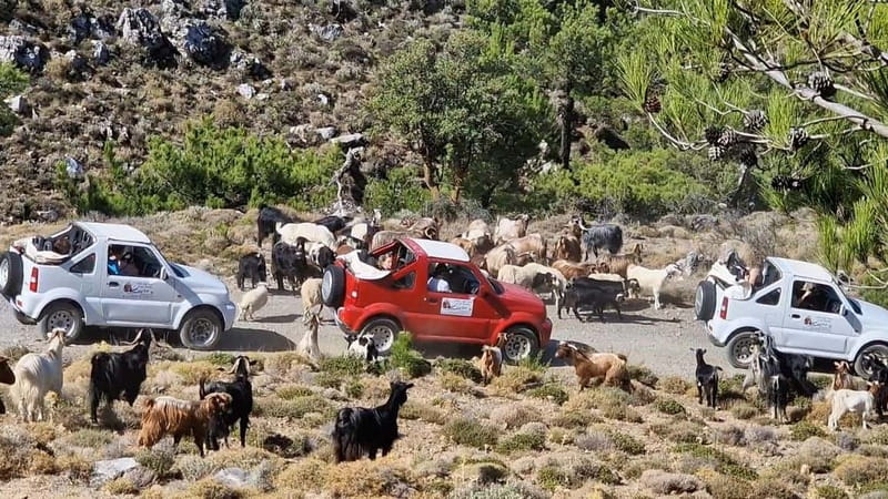 Jeep Driving Tour to Thripti Mountains and typical villages - Key points to know before booking