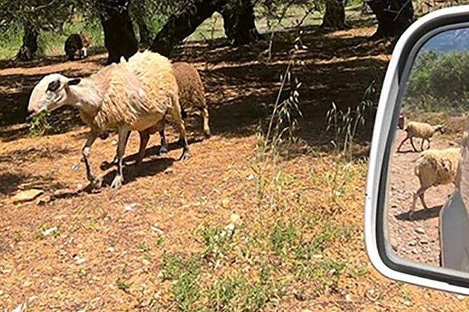 Jeep Safari 4x4 Crete real off road mountain tracks with Lunch from Hersonissos - Aposelemis Dam and the sunken village of Sfendili