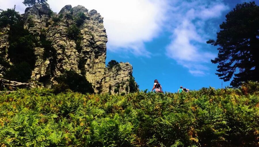 Jeep Safari in Thassos Mountain - Key points to know before booking