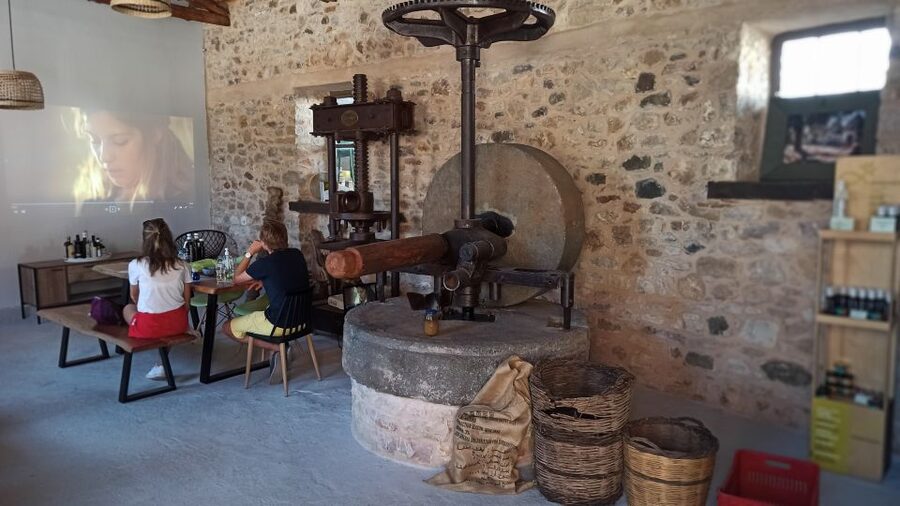 Kalamata: The Olive Oil Routes Tour - Inside the family olive oil mill