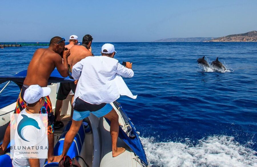 Kamiros Skala : Marine Life Experience & Alimia Island - Cost, cancellation, and useful preparation