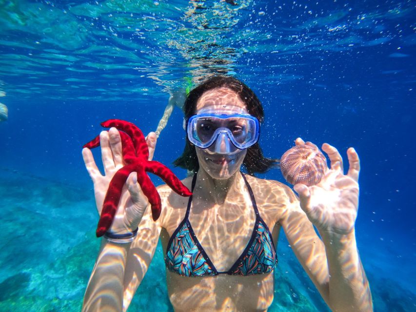 Kamiros Skala : Marine Life Experience & Alimia Island - Alimia gives the day its sense of place