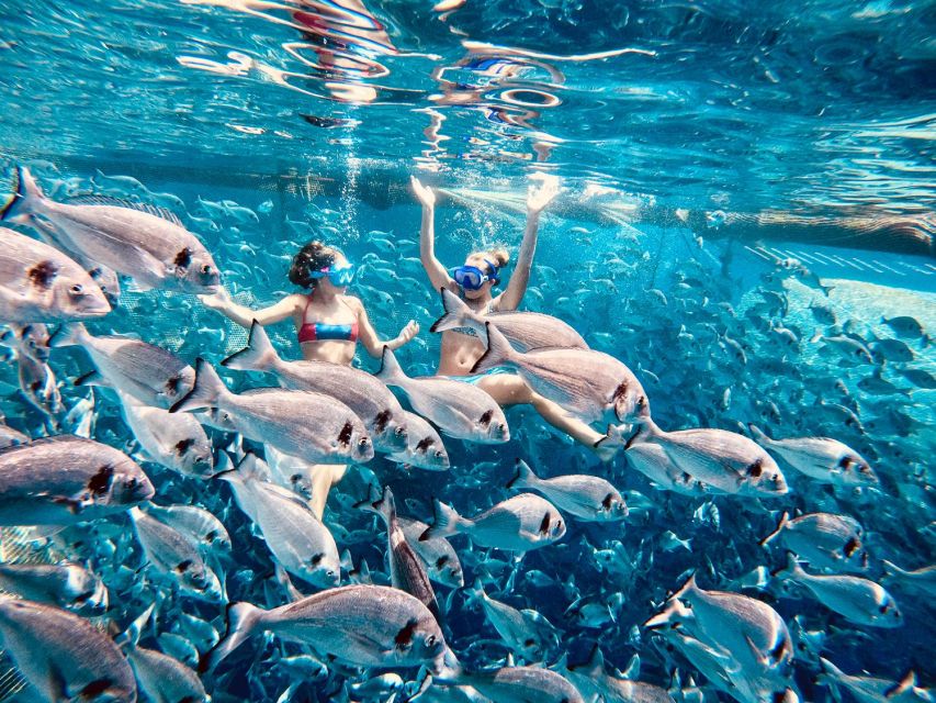 Kamiros Skala : Marine Life Experience & Alimia Island - A whole fish lunch by the water
