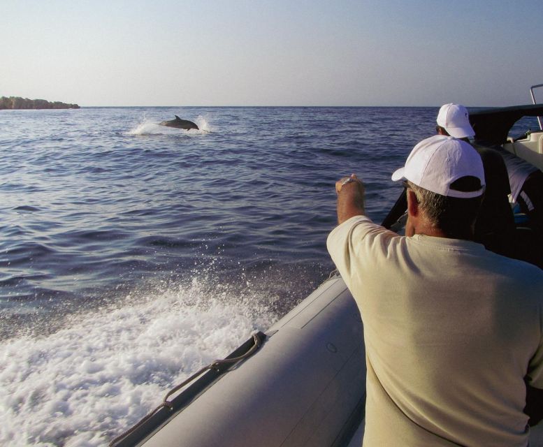Kamiros Skala : Marine Life Experience & Alimia Island - Who should book, and who should think twice