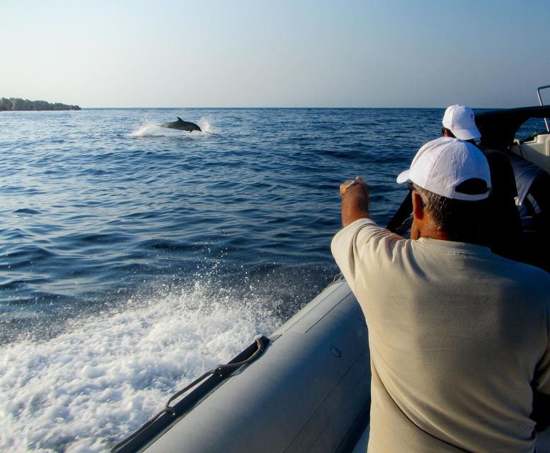 Kamiros Skala: Marine Life Experience by Boat - Why the dolphins are the real draw
