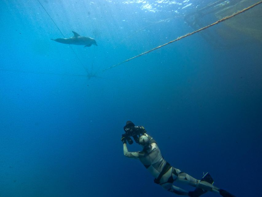 Kamiros Skala: Marine Life Experience by Boat - Stroggyli Islet and the one-hour snorkel stop