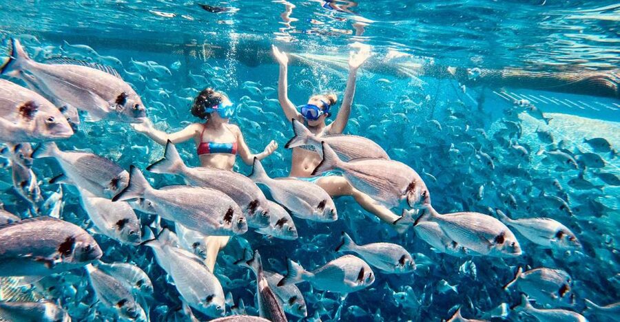 Kamiros Skala: Marine Life Experience by Boat - What the snorkeling is really like