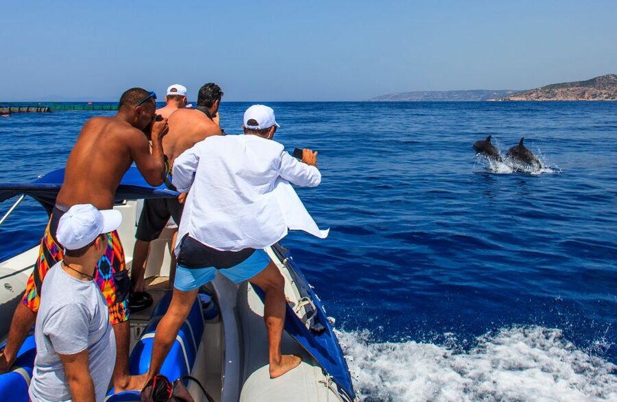 Kamiros Skala: Marine Life Experience by Boat - Group size, comfort, and seasickness