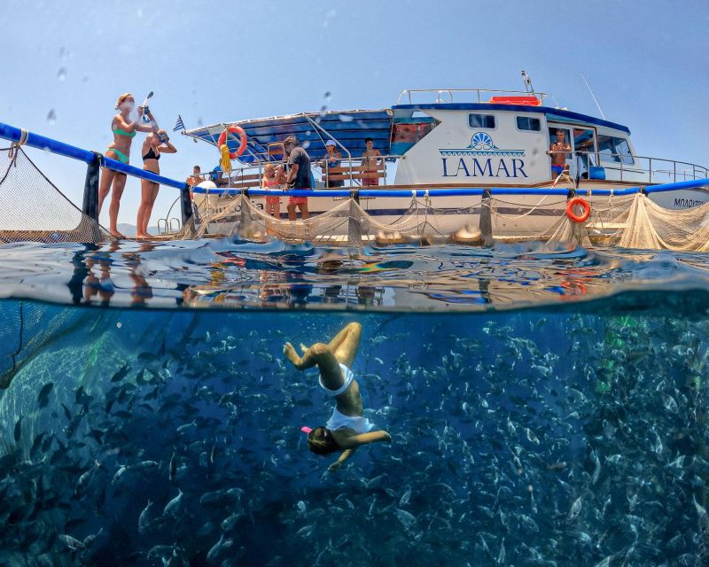 Kamiros Skala: Marine Life Experience by Boat - Is $106 a fair price?