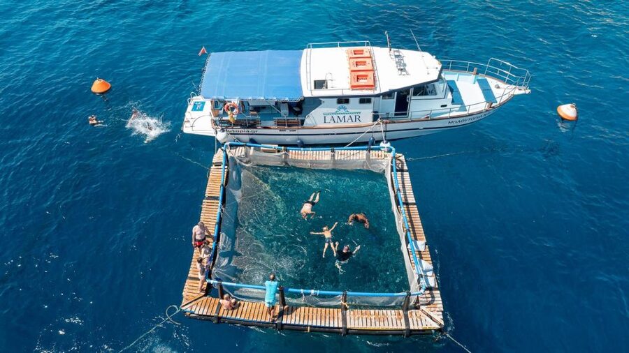Kamiros Skala: Marine Life Experience by Boat - Leaving Kamiros Skala for Makri Islet