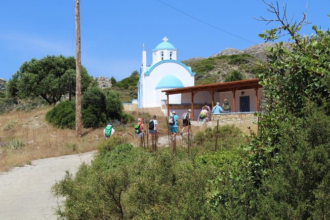 Karpathos Valley Walk in Pigadia - easy guided walking tour - The river bed, old olives, and fossil shells