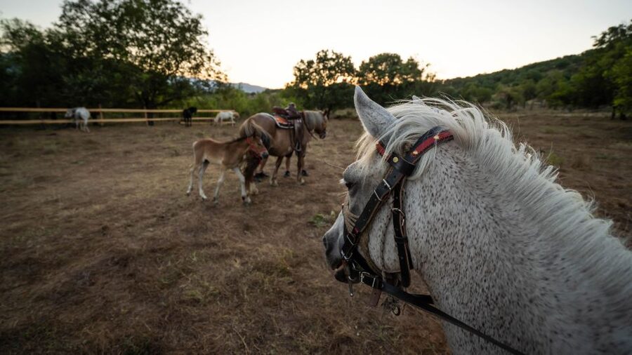Kastraki: Meteora Sunset Horseback Riding - Following the Meteora trails