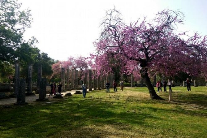 Katakolon Shore Ex: Skip-the-Lines Ancient Olympia & Olive market - Entering the Archaeological Site of Olympia