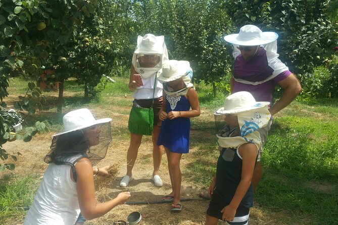 Katakolon Small Group Tour: Olympic site, Honey/Olive Oil Tasting - Padelina Shopping Center and the olive oil tasting