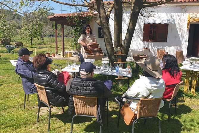 Katakolon Small Group Tour: Olympic site, Honey/Olive Oil Tasting - Who will enjoy this Katakolon shore excursion