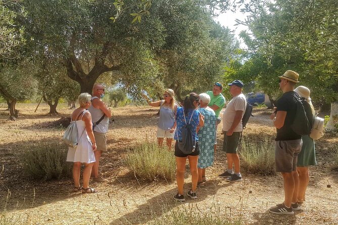 Kefalonia: Private Olive Oil, Honey & Wine Tasting Experience - Sarris Winery: Ionian views with local food